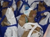 bags-of-non-perishables