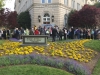 DbfqhX8VQAA0vSH