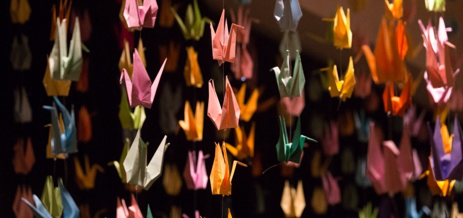 EAD 2014 - Opening Night - Photo Gallery